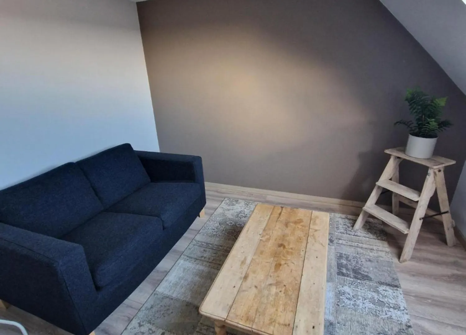 Very Large Duplex 4-Bedroom Apartment Less Than 5 Minutes From The Sea! T46 Ostend